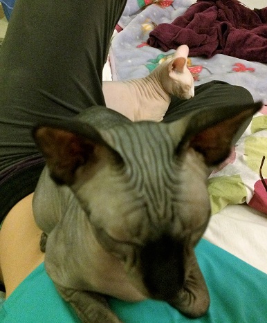 Rita & Yoda!
